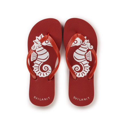 Japanke Svilanit Seahorse – crvene